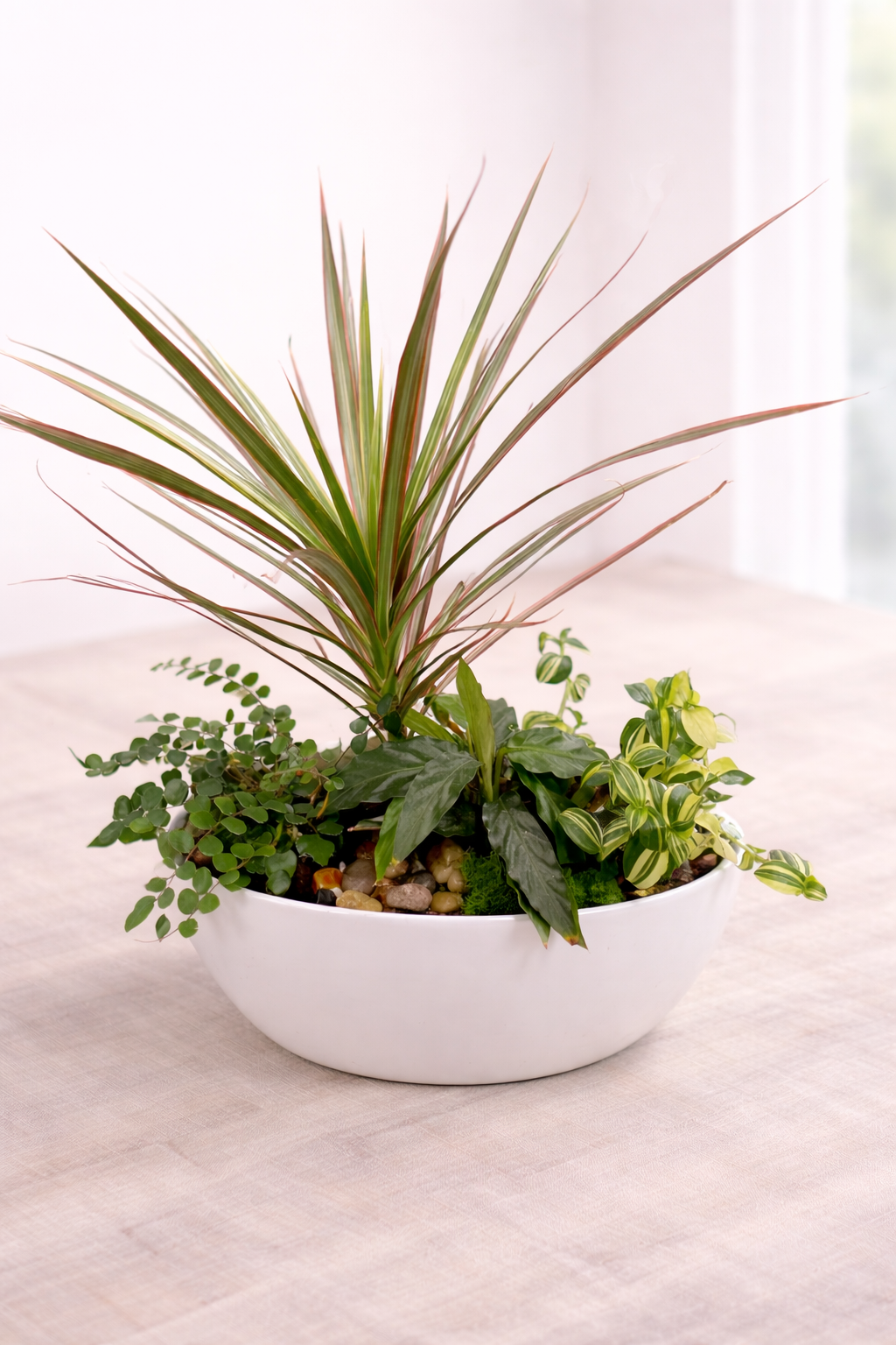 Tropical Plant Garden