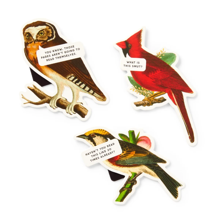 Salty Birds Magnetic Bookmarks
