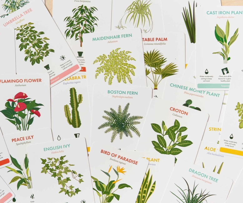 Houseplant Care Cards