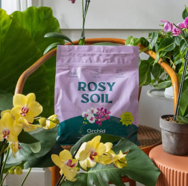 Rosy Soil