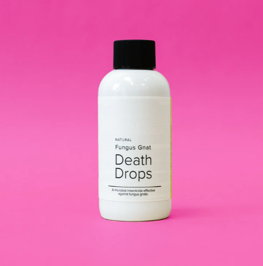 Fungus Gnat Death Drops