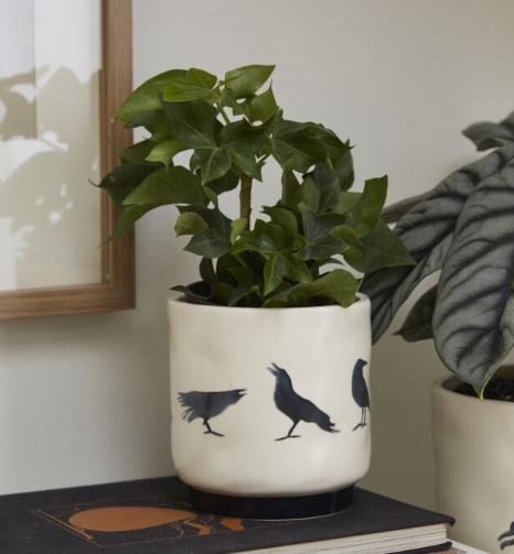 Crow Pot