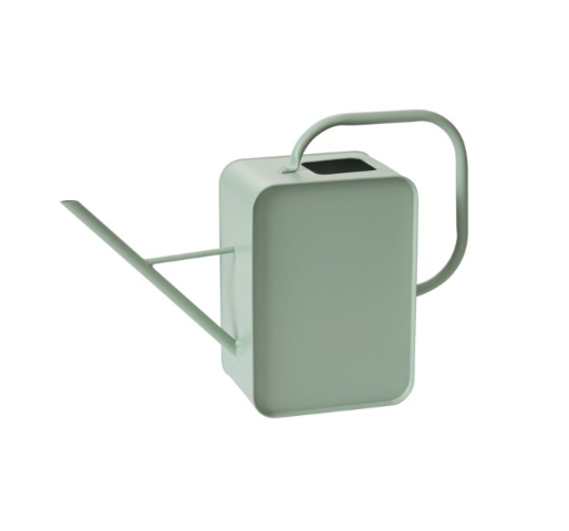 Region Watering Can