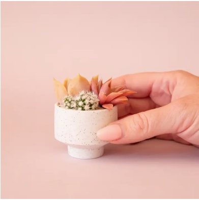 Mini Speckled Footed Planter