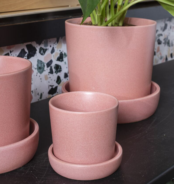 Watson Pot
