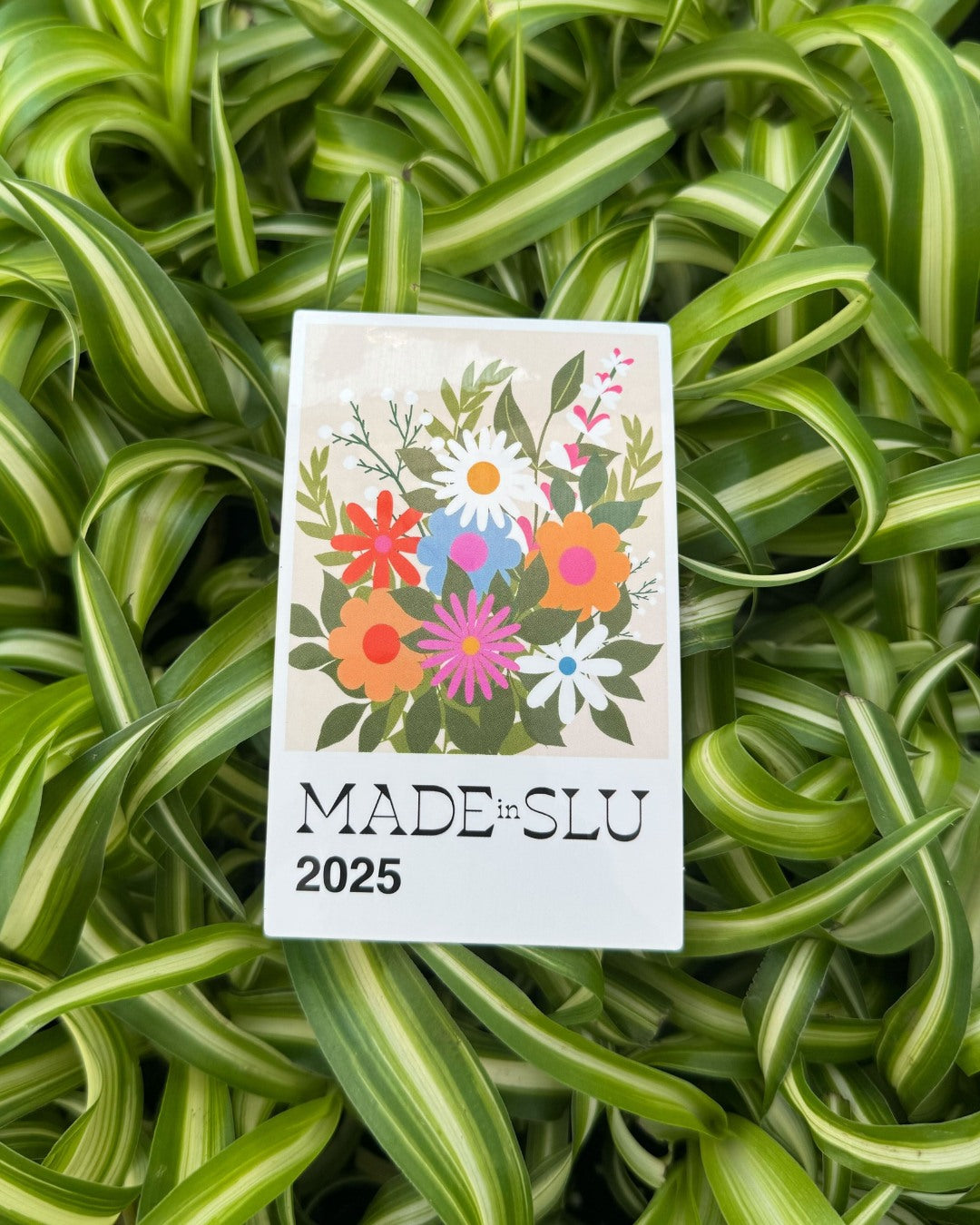 Made in SLU 2026