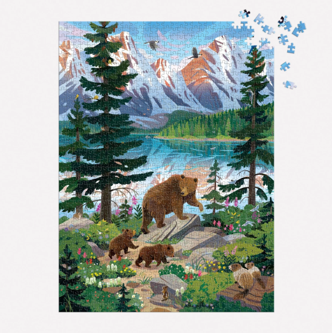 Valley of the Peaks Puzzle