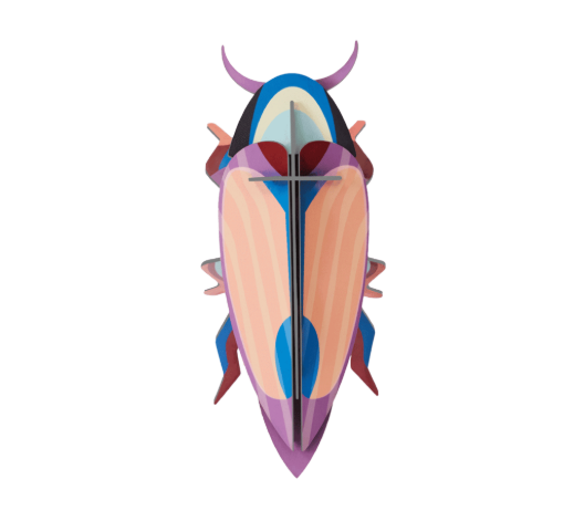 Insect and Bird Wall Art