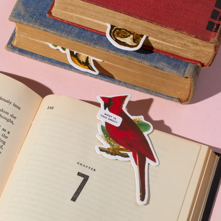 Salty Birds Magnetic Bookmarks