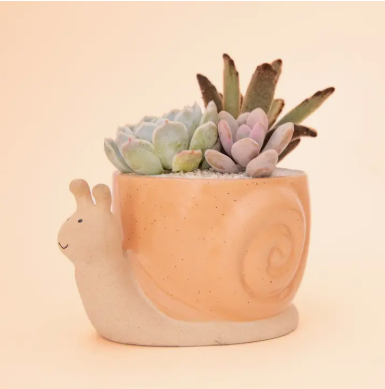 Snail Pot - Medium