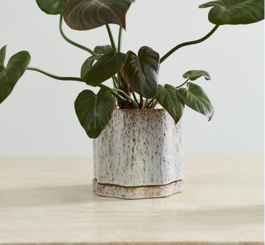 Avenell Pot with Saucer