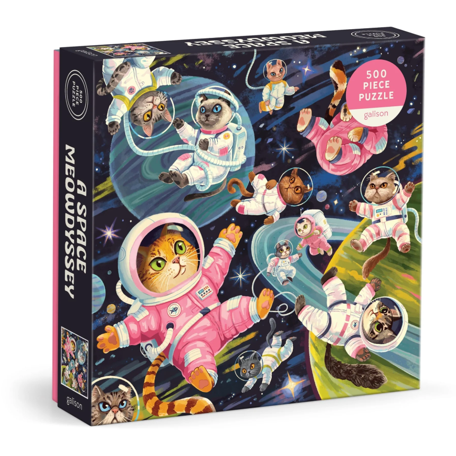 A Space Meowdyssey Puzzle