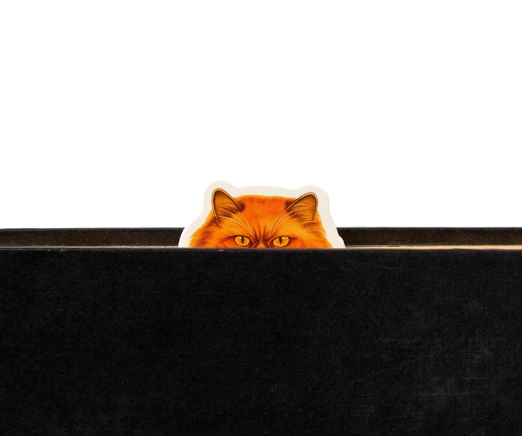Moody Cats Magnetic Bookmarks