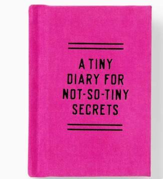 A Tiny Fart Diary