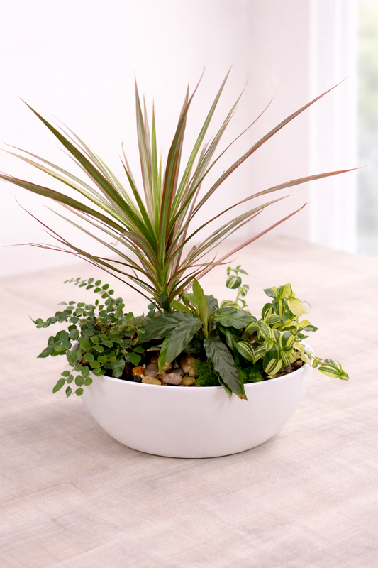 Tropical Plant Garden