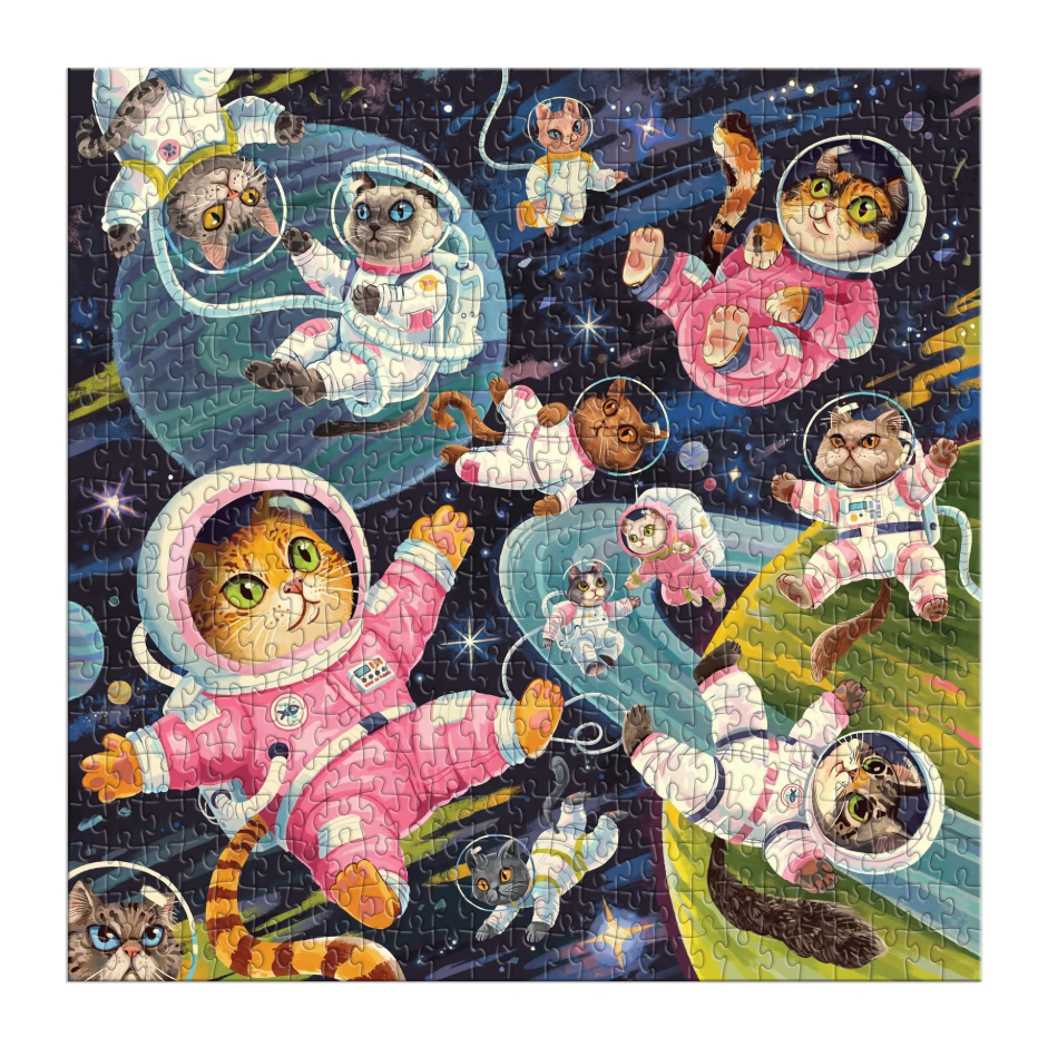 A Space Meowdyssey Puzzle