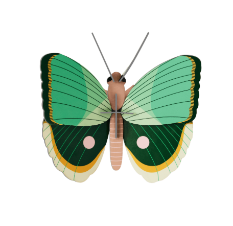 Insect and Bird Wall Art