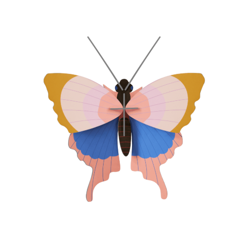 Insect and Bird Wall Art