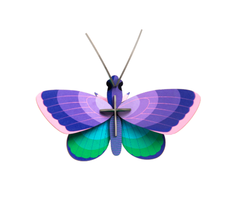 Insect and Bird Wall Art