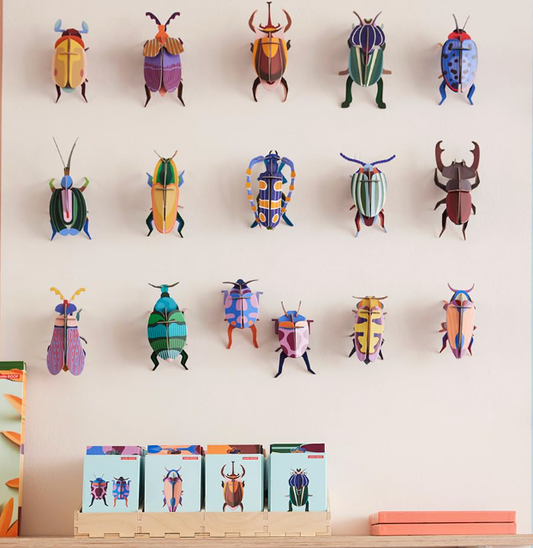 Insect and Bird Wall Art