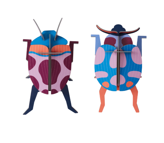 Insect and Bird Wall Art