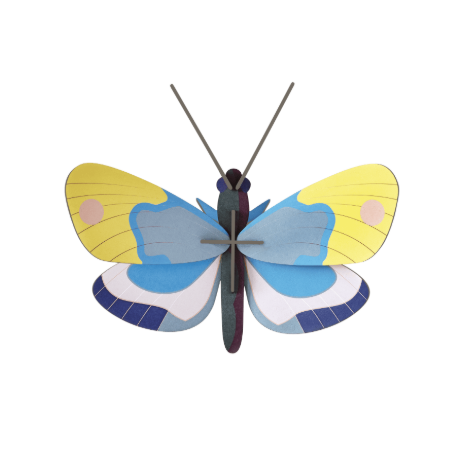 Insect and Bird Wall Art