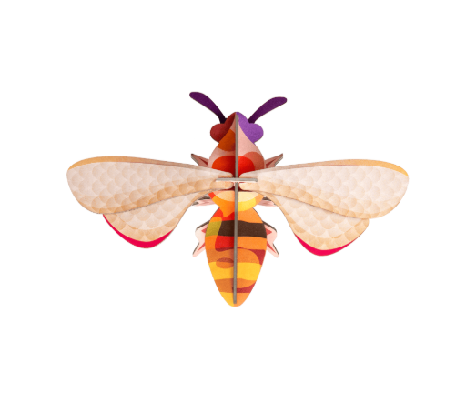 Insect and Bird Wall Art