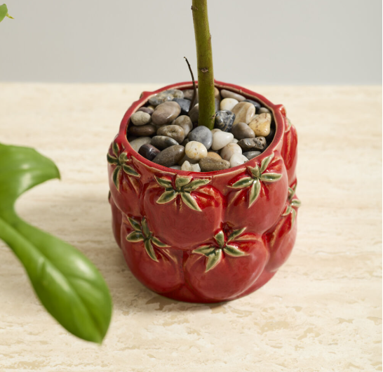 Cucina Pot