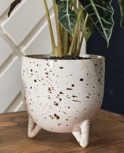 Reid Pot