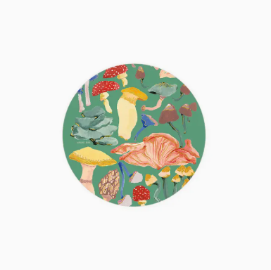Seedlings Coasters