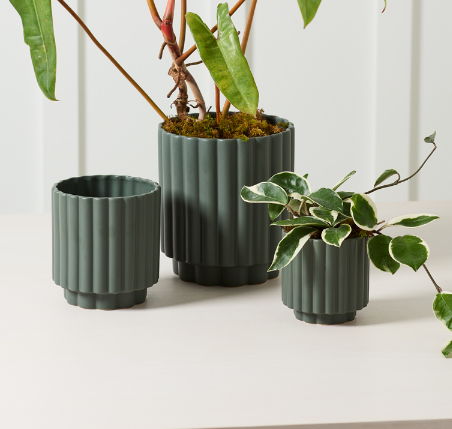 Carmen Pot