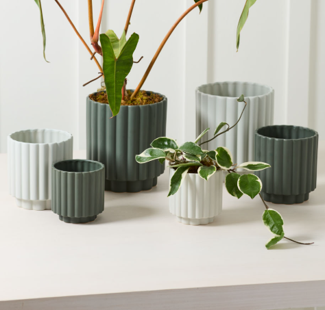 Carmen Pot