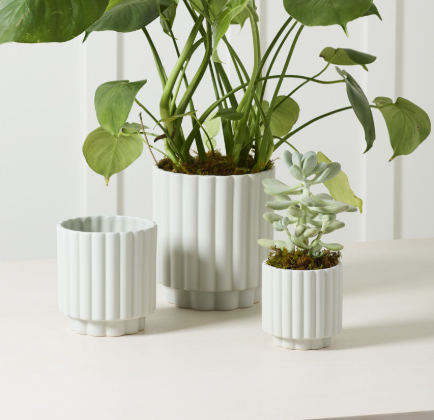 Carmen Pot