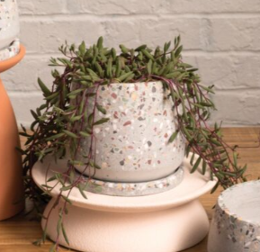 Heather Pot with Saucer