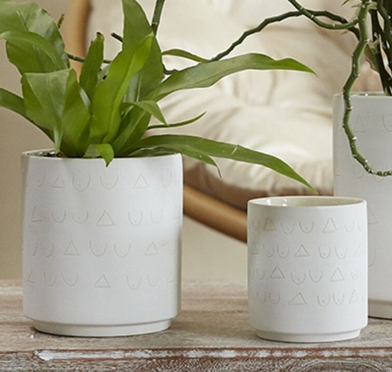 Triangles & Tatas Pot