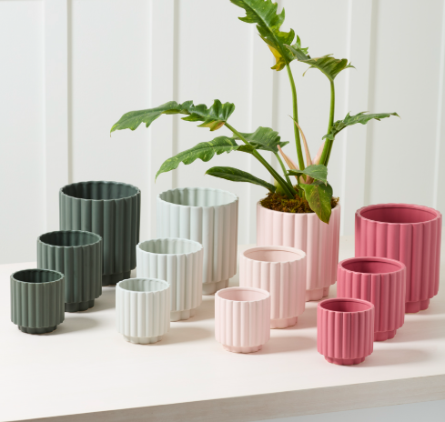 Carmen Pot