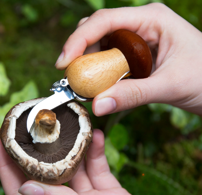 Mushroom Tool Keychain