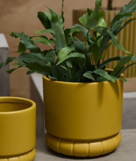 Fara Pot
