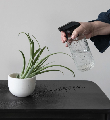 Hobnail Glass Spray Bottle