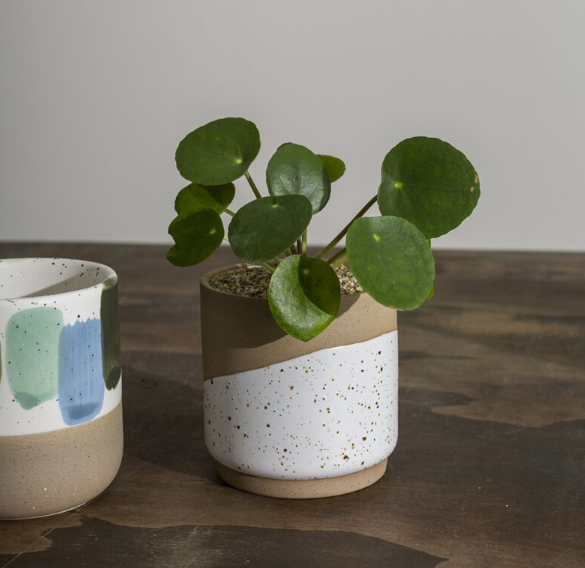 Cafe Mug Pot