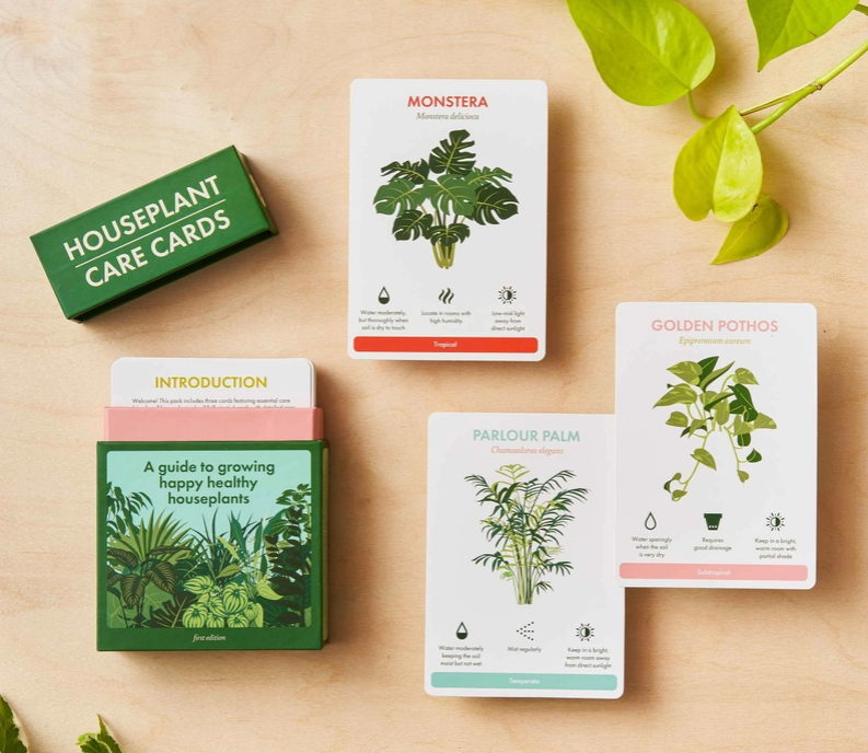 Houseplant Care Cards