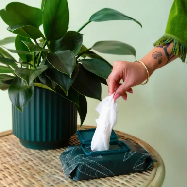 Plant Wipes with Neem Oil