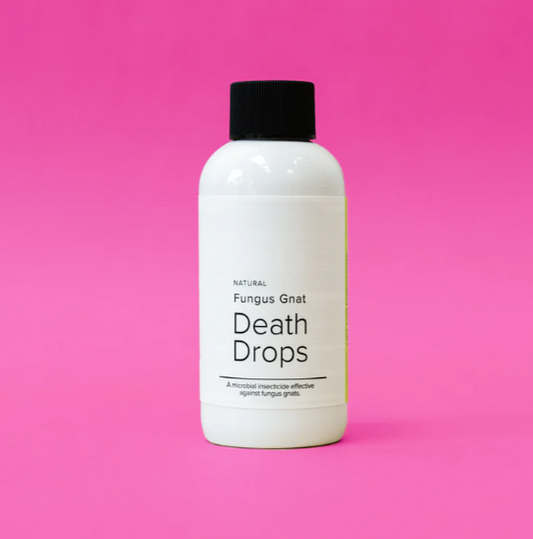 Fungus Gnat Death Drops