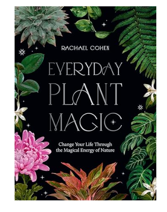 Everyday Plant Magic