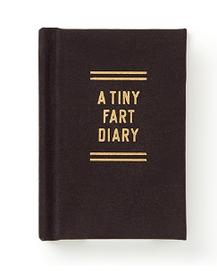 A Tiny Fart Diary