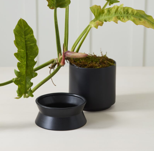 Madison Pot with Saucer