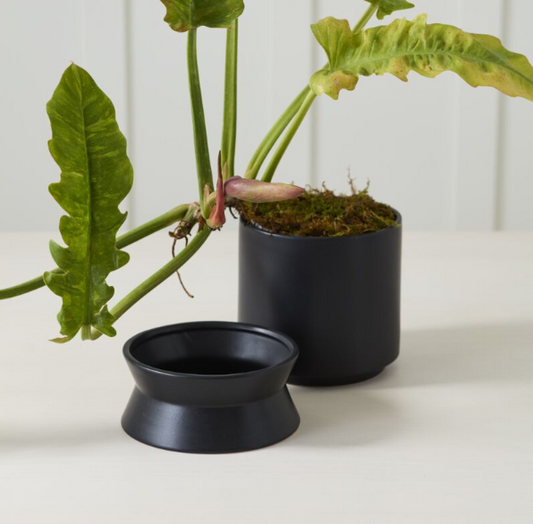 Madison Pot with Saucer