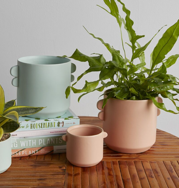 Jamye Pot