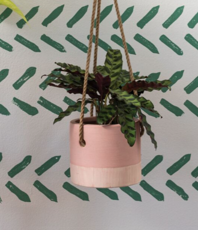 Leia Hanging Pot