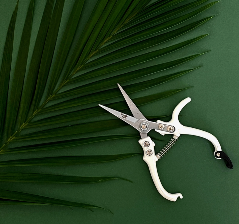 Pruning Shears
